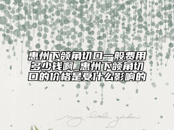 惠州下頜角切口一般費用多少錢啊_惠州下頜角切口的價格是受什么影響的