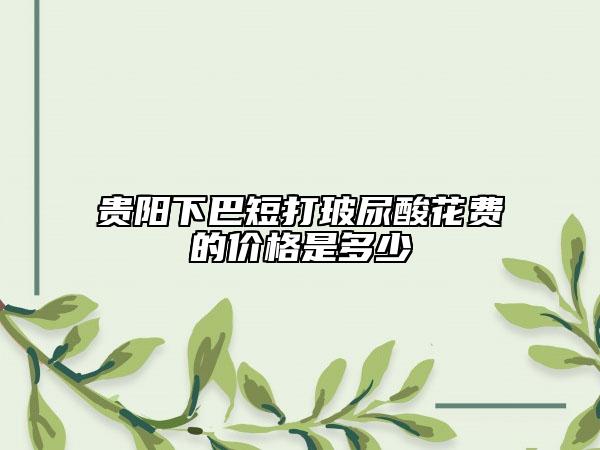 貴陽下巴短打玻尿酸花費(fèi)的價(jià)格是多少