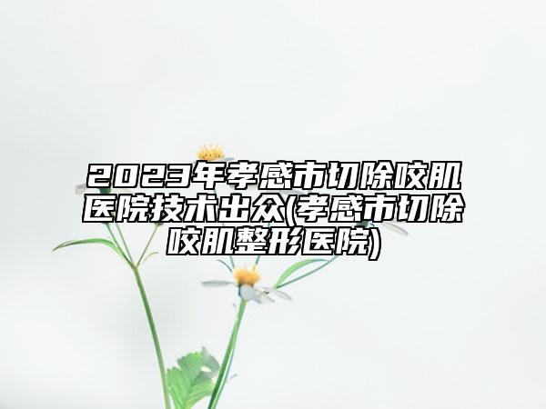 2023年孝感市切除咬肌醫(yī)院技術(shù)出眾(孝感市切除咬肌整形醫(yī)院)