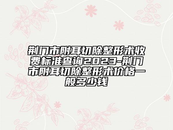 荊門市附耳切除整形術(shù)收費(fèi)標(biāo)準(zhǔn)查詢2023-荊門市附耳切除整形術(shù)價(jià)格一般多少錢