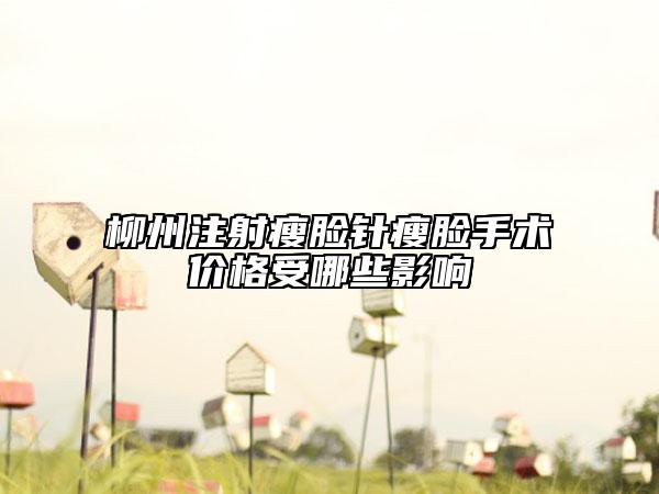 柳州注射瘦臉針瘦臉手術(shù)價(jià)格受哪些影響