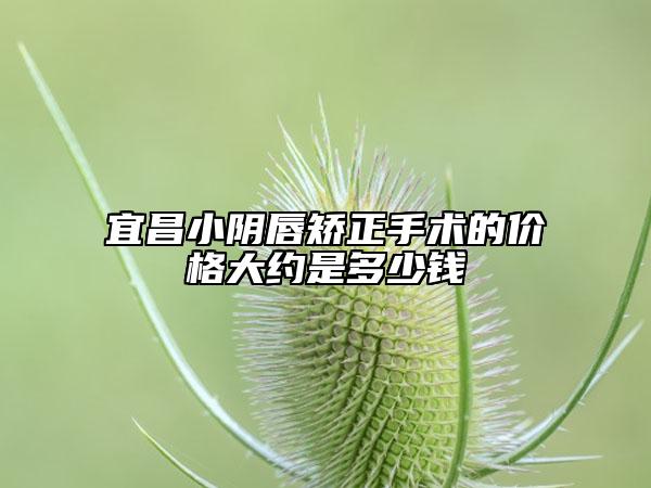 宜昌小陰唇矯正手術(shù)的價(jià)格大約是多少錢