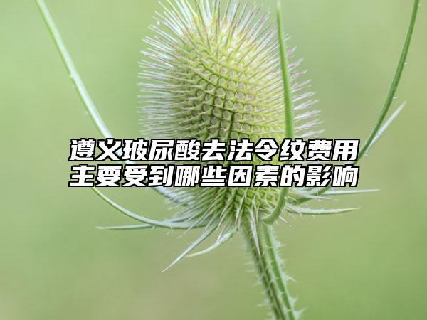 遵義玻尿酸去法令紋費(fèi)用主要受到哪些因素的影響