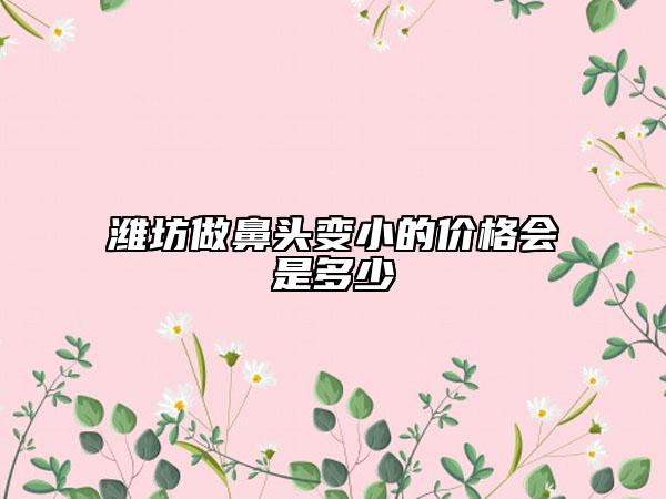 濰坊做鼻頭變小的價格會是多少