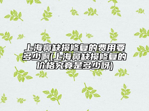 上海鼻缺損修復的費用要多少啊(上海鼻缺損修復的價格究竟是多少呀)