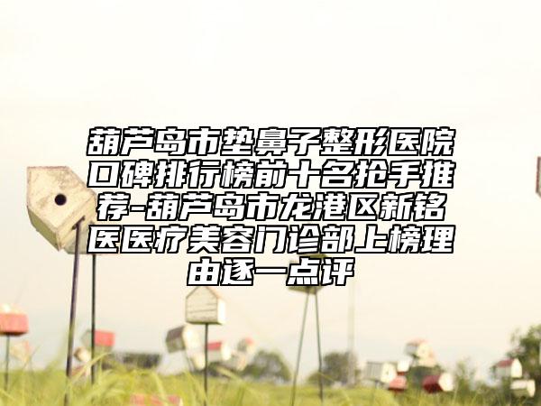 葫蘆島市墊鼻子整形醫(yī)院口碑排行榜前十名搶手推薦-葫蘆島市龍港區(qū)新銘醫(yī)醫(yī)療美容門診部上榜理由逐一點評