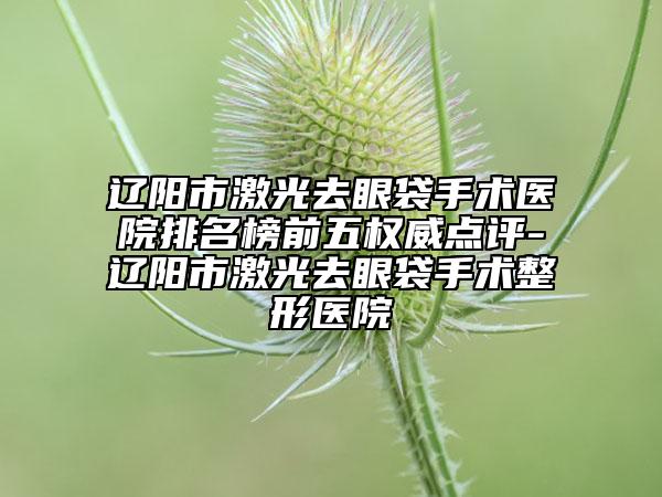 遼陽(yáng)市激光去眼袋手術(shù)醫(yī)院排名榜前五權(quán)威點(diǎn)評(píng)-遼陽(yáng)市激光去眼袋手術(shù)整形醫(yī)院