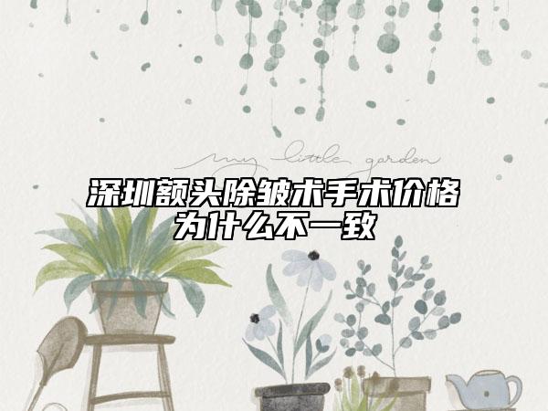 深圳額頭除皺術(shù)手術(shù)價格為什么不一致