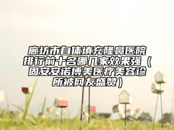 廊坊市自體填充隆鼻醫(yī)院排行前十名哪幾家效果強(qiáng)（固安安諾博美醫(yī)療美容診所被網(wǎng)友盛贊）