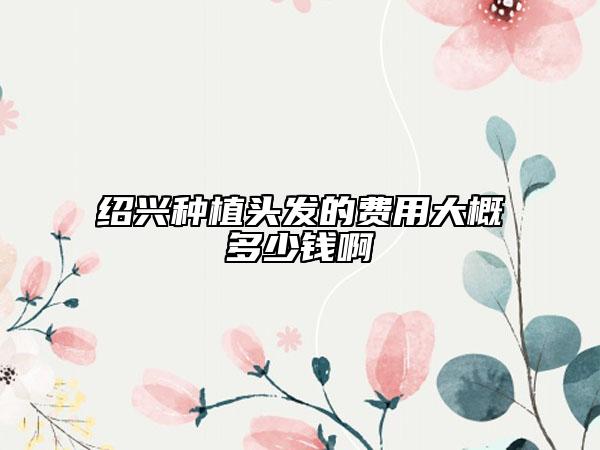 紹興種植頭發(fā)的費用大概多少錢啊