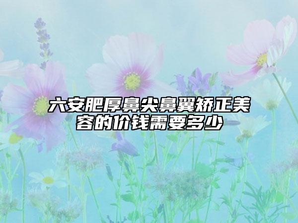 六安肥厚鼻尖鼻翼矯正美容的價錢需要多少