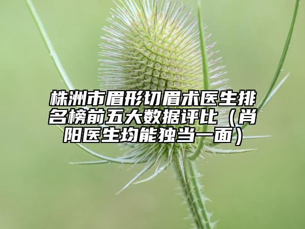 株洲市眉形切眉術(shù)醫(yī)生排名榜前五大數(shù)據(jù)評比（肖陽醫(yī)生均能獨當一面）