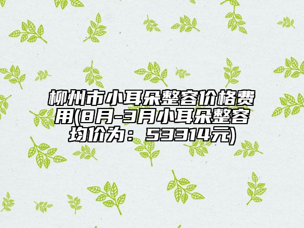 柳州市小耳朵整容價格費用(8月-3月小耳朵整容均價為:53314元)