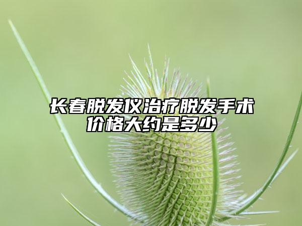長(zhǎng)春脫發(fā)儀治療脫發(fā)手術(shù)價(jià)格大約是多少