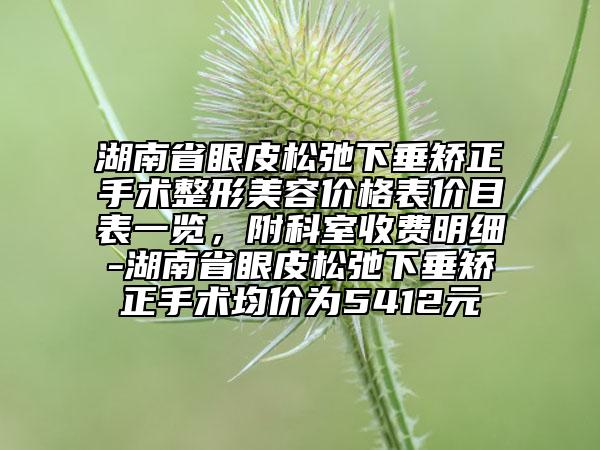 湖南省眼皮松弛下垂矯正手術(shù)整形美容價(jià)格表價(jià)目表一覽，附科室收費(fèi)明細(xì)-湖南省眼皮松弛下垂矯正手術(shù)均價(jià)為5412元