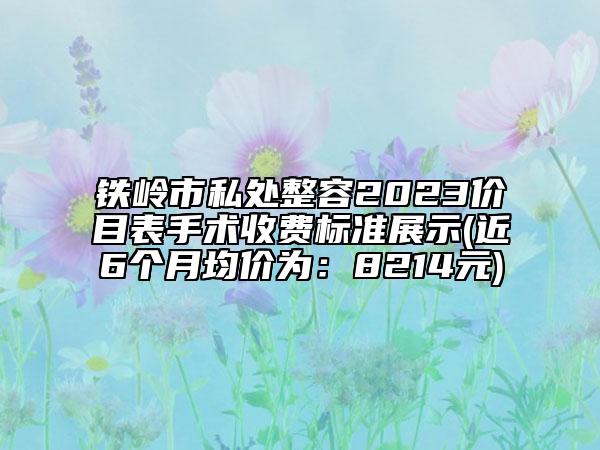 鐵嶺市私處整容2023價目表手術(shù)收費標準展示(近6個月均價為：8214元)