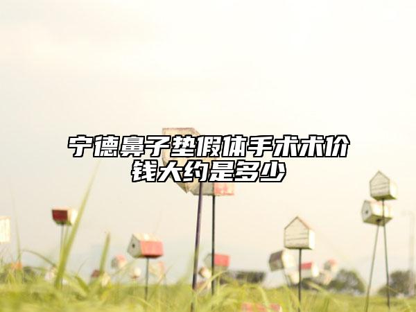 寧德鼻子墊假體手術(shù)術(shù)價(jià)錢大約是多少