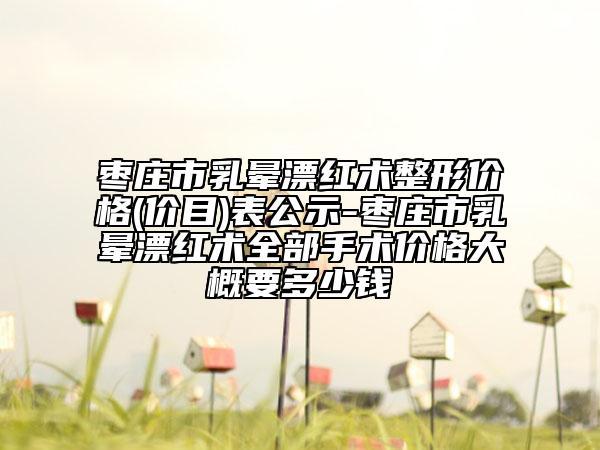 棗莊市乳暈漂紅術(shù)整形價(jià)格(價(jià)目)表公示-棗莊市乳暈漂紅術(shù)全部手術(shù)價(jià)格大概要多少錢(qián)