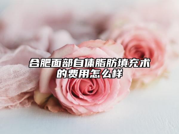 合肥面部自體脂肪填充術(shù)的費(fèi)用怎么樣