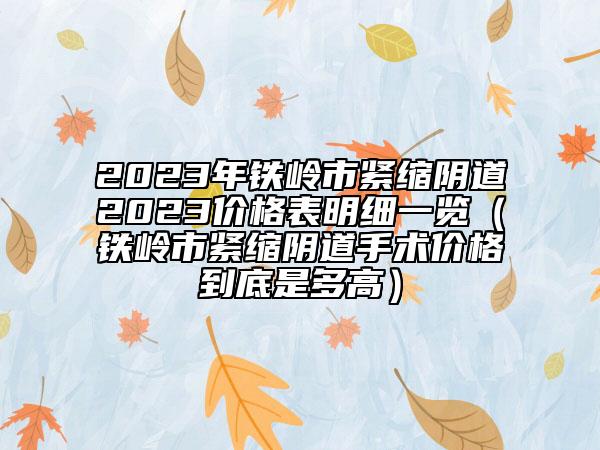 2023年鐵嶺市緊縮陰道2023價格表明細一覽(鐵嶺市緊縮陰道手術價格到底是多高)