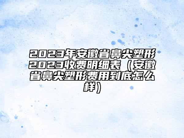 2023年安徽省鼻尖塑形2023收費(fèi)明細(xì)表(安徽省鼻尖塑形費(fèi)用到底怎么樣)
