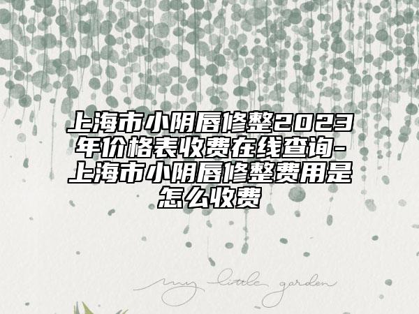上海市小陰唇修整2023年價(jià)格表收費(fèi)在線查詢-上海市小陰唇修整費(fèi)用是怎么收費(fèi)