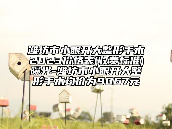 濰坊市小眼開大整形手術2023價格表(收費標準)曝光-濰坊市小眼開大整形手術均價為9067元