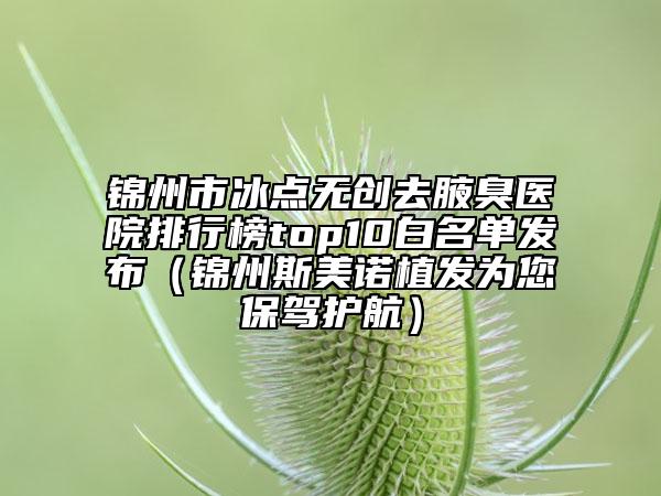 錦州市冰點(diǎn)無(wú)創(chuàng)去腋臭醫(yī)院排行榜top10白名單發(fā)布（錦州斯美諾植發(fā)為您保駕護(hù)航）
