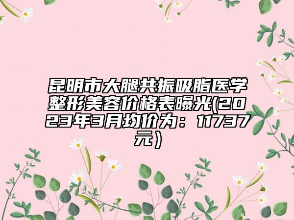 昆明市大腿共振吸脂醫(yī)學(xué)整形美容價(jià)格表曝光(2023年3月均價(jià)為：11737元）
