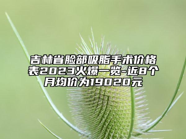 吉林省臉部吸脂手術(shù)價(jià)格表2023火爆一覽-近8個(gè)月均價(jià)為19020元