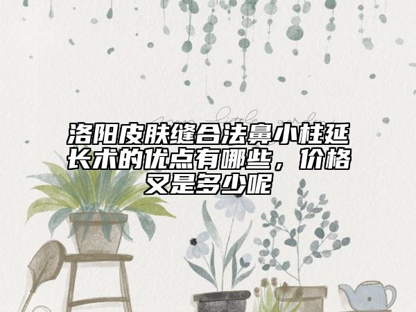 洛陽皮膚縫合法鼻小柱延長術(shù)的優(yōu)點(diǎn)有哪些，價(jià)格又是多少呢