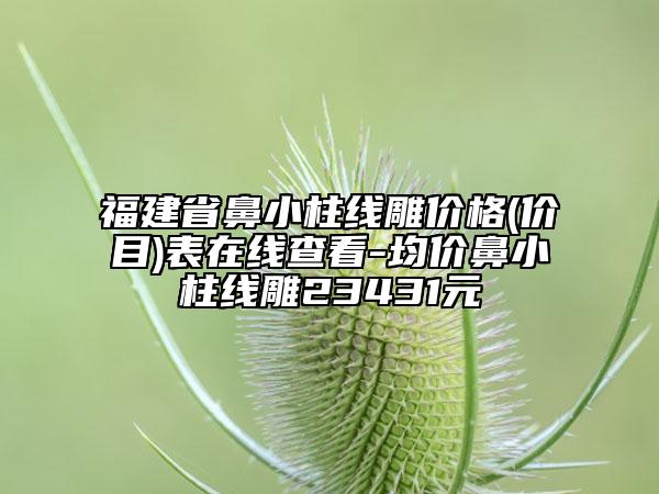 福建省鼻小柱線雕價格(價目)表在線查看-均價鼻小柱線雕23431元