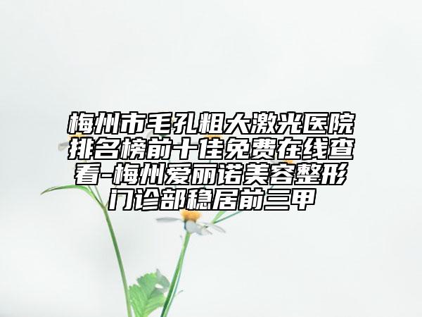 梅州市毛孔粗大激光醫(yī)院排名榜前十佳免費在線查看-梅州愛麗諾美容整形門診部穩(wěn)居前三甲