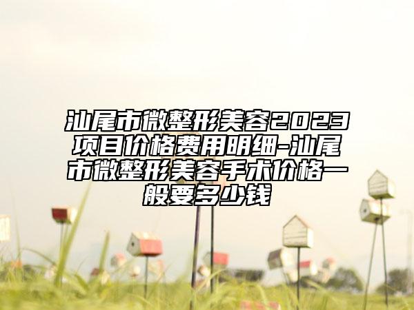 汕尾市微整形美容2023項(xiàng)目?jī)r(jià)格費(fèi)用明細(xì)-汕尾市微整形美容手術(shù)價(jià)格一般要多少錢
