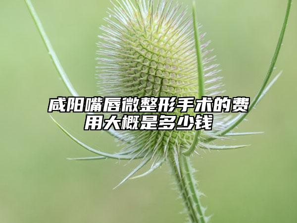 咸陽(yáng)嘴唇微整形手術(shù)的費(fèi)用大概是多少錢