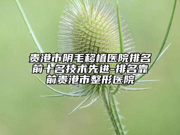 貴港市陰毛移植醫(yī)院排名前十名技術(shù)先進(jìn)-排名靠前貴港市整形醫(yī)院