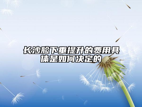 長沙臉下垂提升的費(fèi)用具體是如何決定的