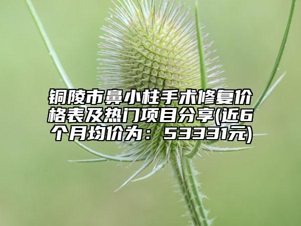 銅陵市鼻小柱手術(shù)修復(fù)價(jià)格表及熱門項(xiàng)目分享(近6個(gè)月均價(jià)為：53331元)