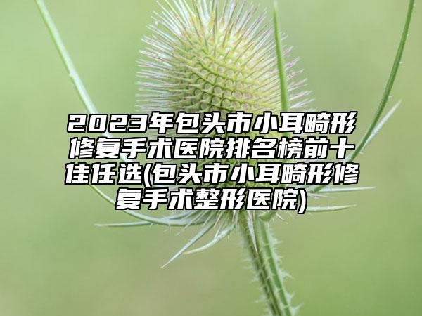 2023年包頭市小耳畸形修復手術(shù)醫(yī)院排名榜前十佳任選(包頭市小耳畸形修復手術(shù)整形醫(yī)院)