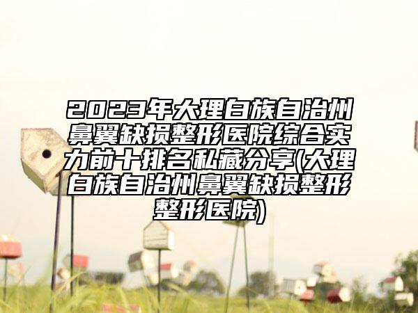 2023年大理白族自治州鼻翼缺損整形醫(yī)院綜合實力前十排名私藏分享(大理白族自治州鼻翼缺損整形整形醫(yī)院)