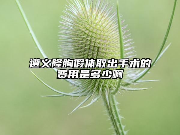 遵義隆胸假體取出手術(shù)的費用是多少啊