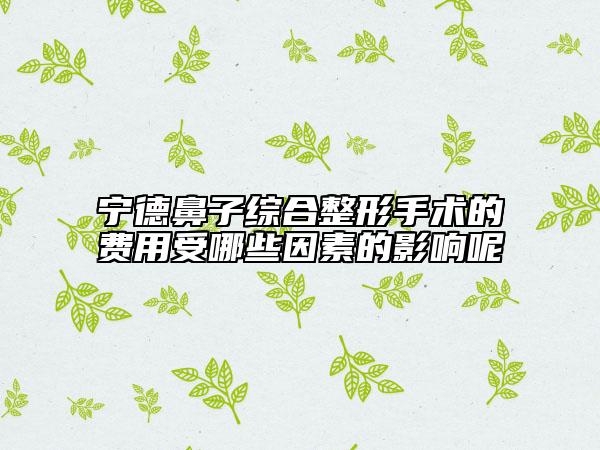 寧德鼻子綜合整形手術(shù)的費(fèi)用受哪些因素的影響呢