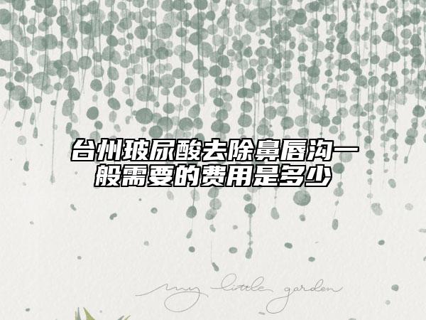 臺州玻尿酸去除鼻唇溝一般需要的費用是多少