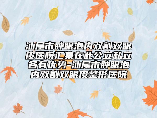 汕尾市腫眼泡內(nèi)雙割雙眼皮醫(yī)院匯集在此公立私立各有優(yōu)勢-汕尾市腫眼泡內(nèi)雙割雙眼皮整形醫(yī)院