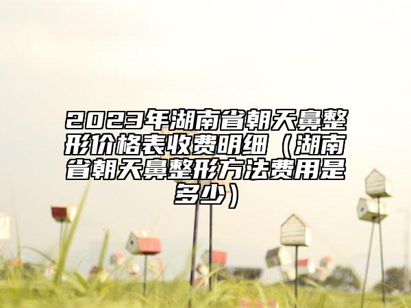 2023年湖南省朝天鼻整形價(jià)格表收費(fèi)明細(xì)（湖南省朝天鼻整形方法費(fèi)用是多少）