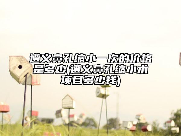 遵義鼻孔縮小一次的價格是多少(遵義鼻孔縮小術(shù)項目多少錢)