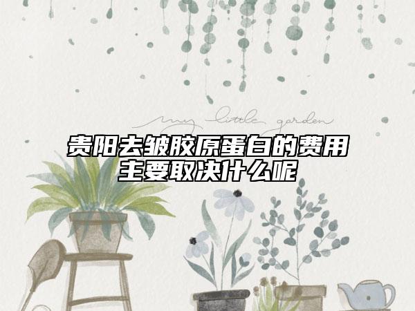 貴陽去皺膠原蛋白的費用主要取決什么呢