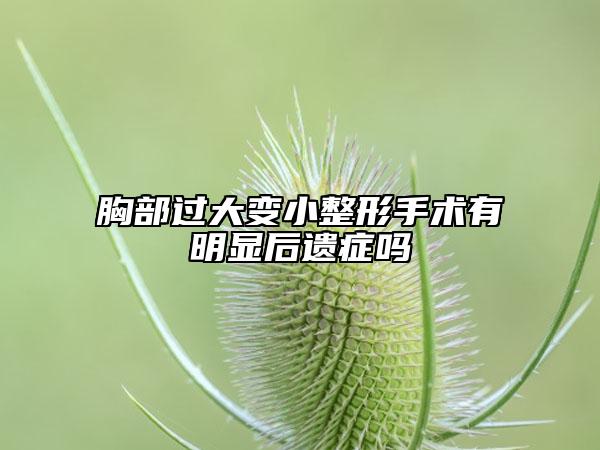 胸部過大變小整形手術(shù)有明顯后遺癥嗎