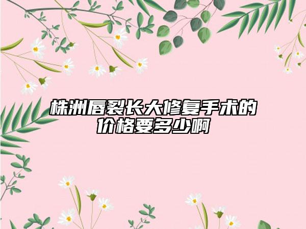 株洲唇裂長大修復(fù)手術(shù)的價格要多少啊