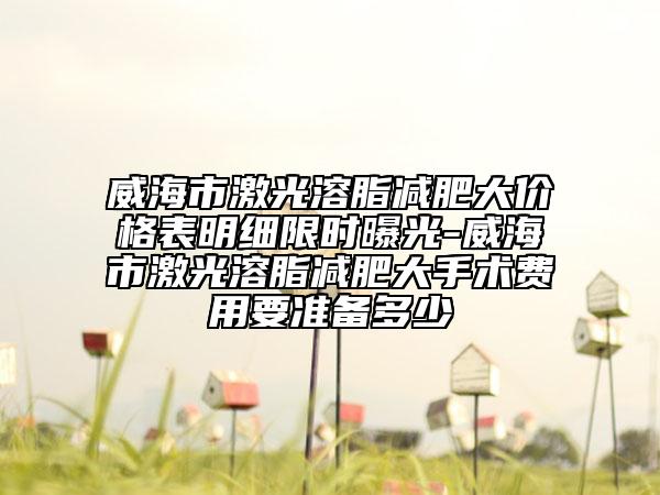 威海市激光溶脂減肥大價格表明細限時曝光-威海市激光溶脂減肥大手術費用要準備多少